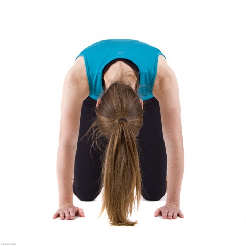 tbyb_16_hip_rolls